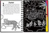 SCRATCH & SKETCH - YAĞMUR ORMANI