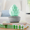 Skip Hop Terra Ağlama Sensörlü Baby Soother 0 Ay+