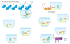 Usborne Fingerprint Activities Cats And Dogs