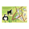 Usborne First Colouring Book Jungle