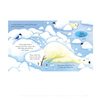 Usborne Peep Inside Snowy Places