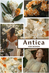 Antica