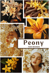 Peony