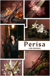 Perisa