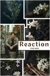 Reaction