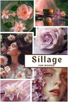 Sillage