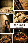 Vanes