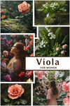 Viola