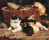 Charles van den Eycken Kedi ve Yavruları Kanvas Tablo