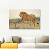 A Lion by Wilhelm Kuhnert as Fine Art Print
