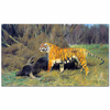 A Tiger with its Prey by Wilhelm Kuhnert as Fine Art Print