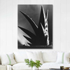Aloe by Imogen Cunningham as Art Print