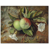 Autumn Apples and Convolvulus by Edward John Poynter as Art Print
