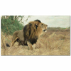 Berber Lion by Wilhelm Kuhnert as Fine Art Print