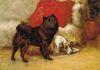 Best Friends by Maud Earl