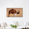 Camel And Cub as Art Print