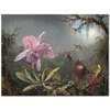 Martin Johnson Heade Cattleya Orkidesi ve Üç Sinek Kuşu Kanvas Tablo