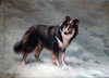 Champion Old Hall Beatrice by Maud Earl