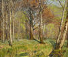 Children in a Forest at Springtime by Hans Andersen Brendekilde