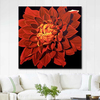 Chrysanthemum by Dagmar Göğdün as Fine Art Print