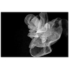Composition by Imogen Cunnigham as Art Print