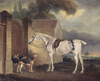 Cottesmore Hounds and Brass by John Ferneley