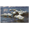 Ducks by Alexander Koester as Fine Art Print