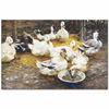 Ducks in the Straw by Alexander Koester as Fine Art Print