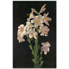 Easter Lily by George Cochran Lambdin