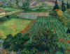 Field with Poppies by Vincent van Gogh as Fine Art Print