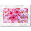 Frangipani Kanvas Tablo