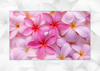 Frangipani Kanvas Tablo