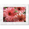 Gerbera Demeti Kanvas Tablo