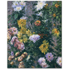 Gustave Caillebotte Beyaz ve Sarı Krizantemler Kanvas Tablo