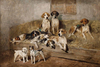 Hounds and Terriers by John Emms