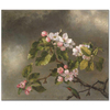 Martin Johnson Heade Elma Çiçekleri Kanvas Tablo