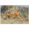 In The Jungle by Wilhelm Kuhnert as Fine Art Print