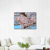 Japan Cherry Blossoms as Art Print