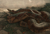 Charles Maurice Detmold Piton Kaa Kanvas Tablo