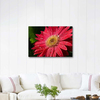 Kırmızı Gerbera Kanvas Tablo
