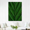 Leaf Texture as Art Print