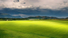 Light on the Meadow