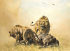 Lions in a Landscape by Donald Grant