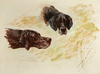 Lorne and Kate by Maud Earl