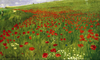 Meadow with Poppies by Pal Szinyei Merse