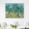 Olive Grove by Vincent van Gogh as Fine Art Print