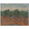 Vincent van Gogh Zeytinlikte Ağaçlar Kanvas Tablo