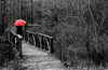 Osman Karamehmetoglu In the Forest Art Print