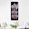 Phalaenopsis by Dagmar Göğdün as Fine Art Print