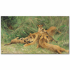 Playing Lions by Wilhelm Kuhnert as Fine Art Print